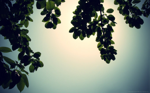 475099 (a): :1920x1200